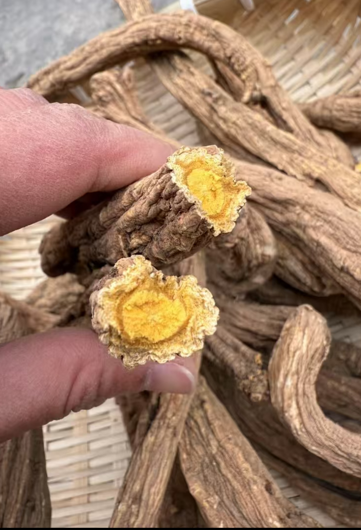 云南农家野生虎皮党参