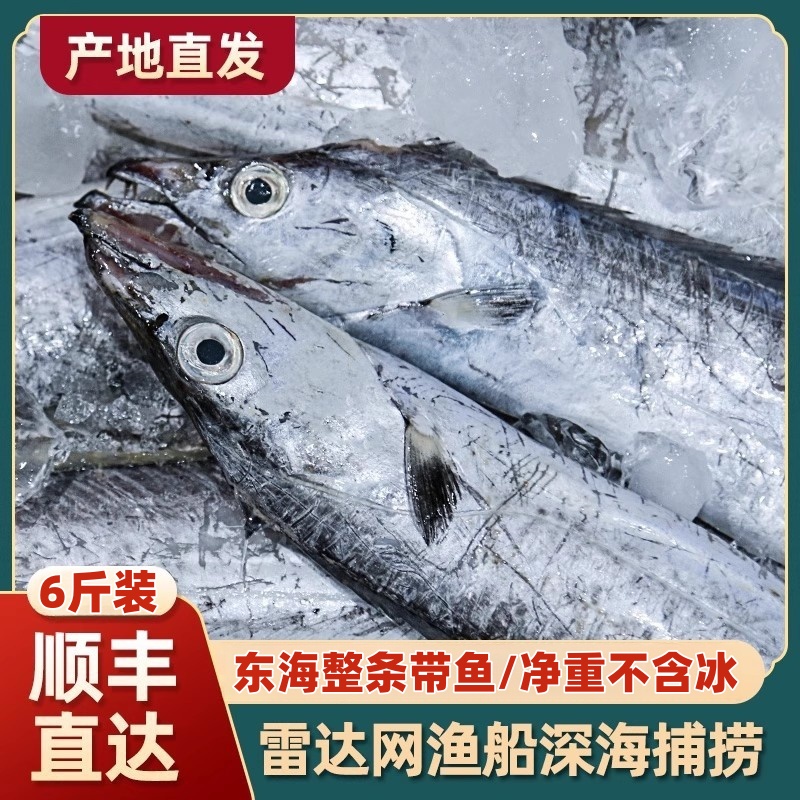 部分破肚【6斤3-4两/条】东海野生网捕小眼油带带鱼