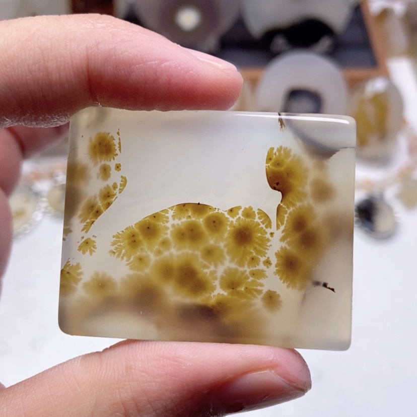 【闪购商品】玛瑙/玉髓颈饰未镶嵌