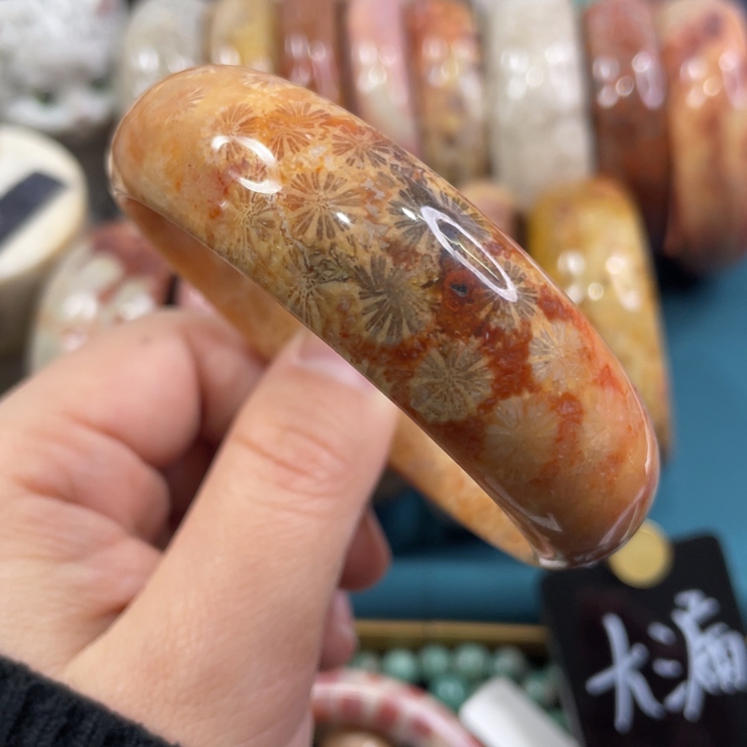 未镶嵌手镯硅化玉