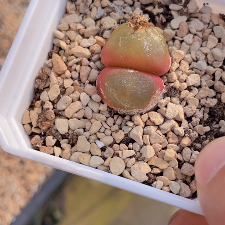 4889998868888887888777