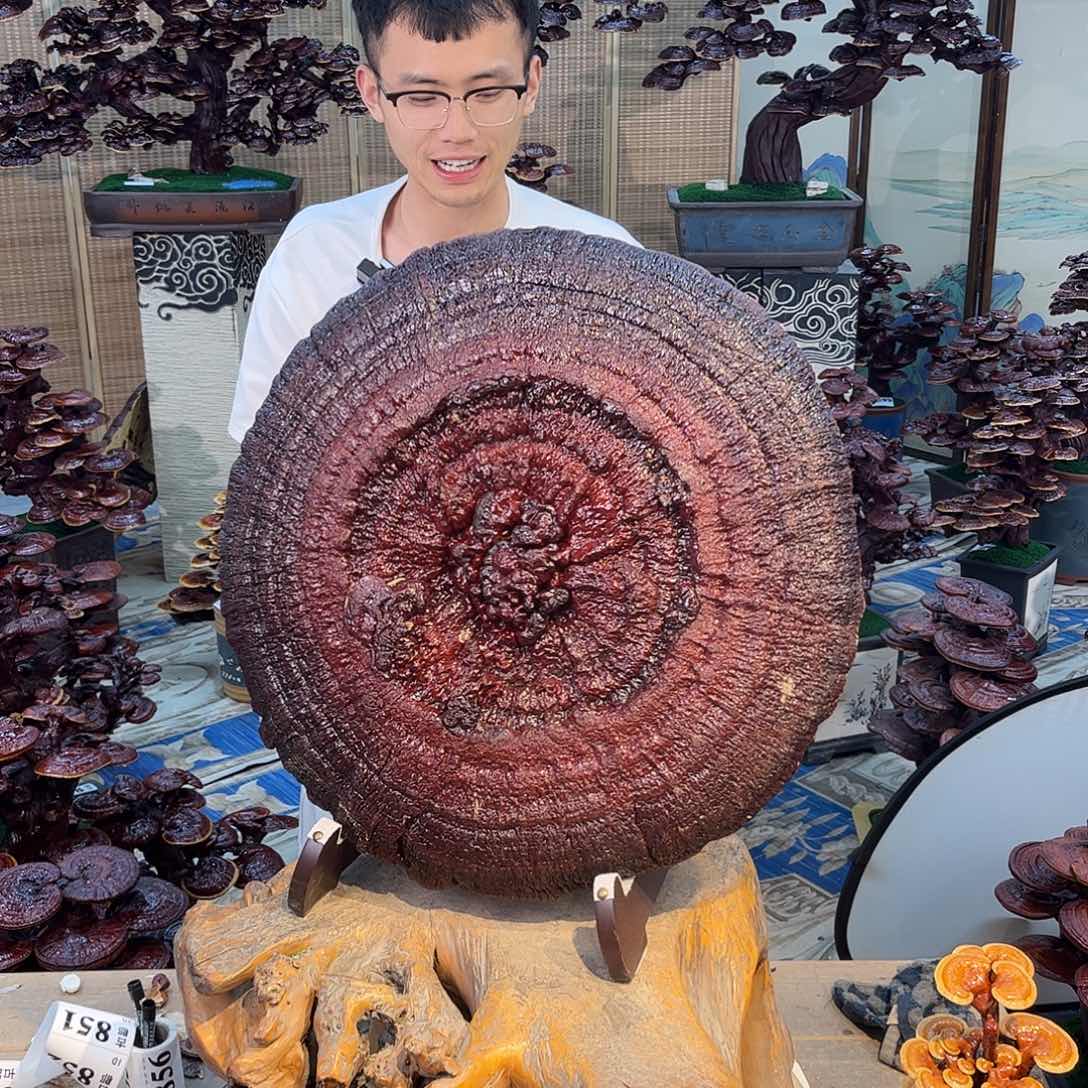 无花朵8888888800088888888888