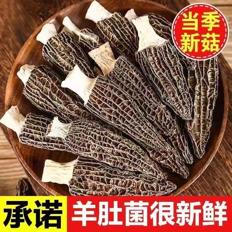 高山头茬厚肉羊肚菌干货均匀适合炖煮靓汤炖汤滋补