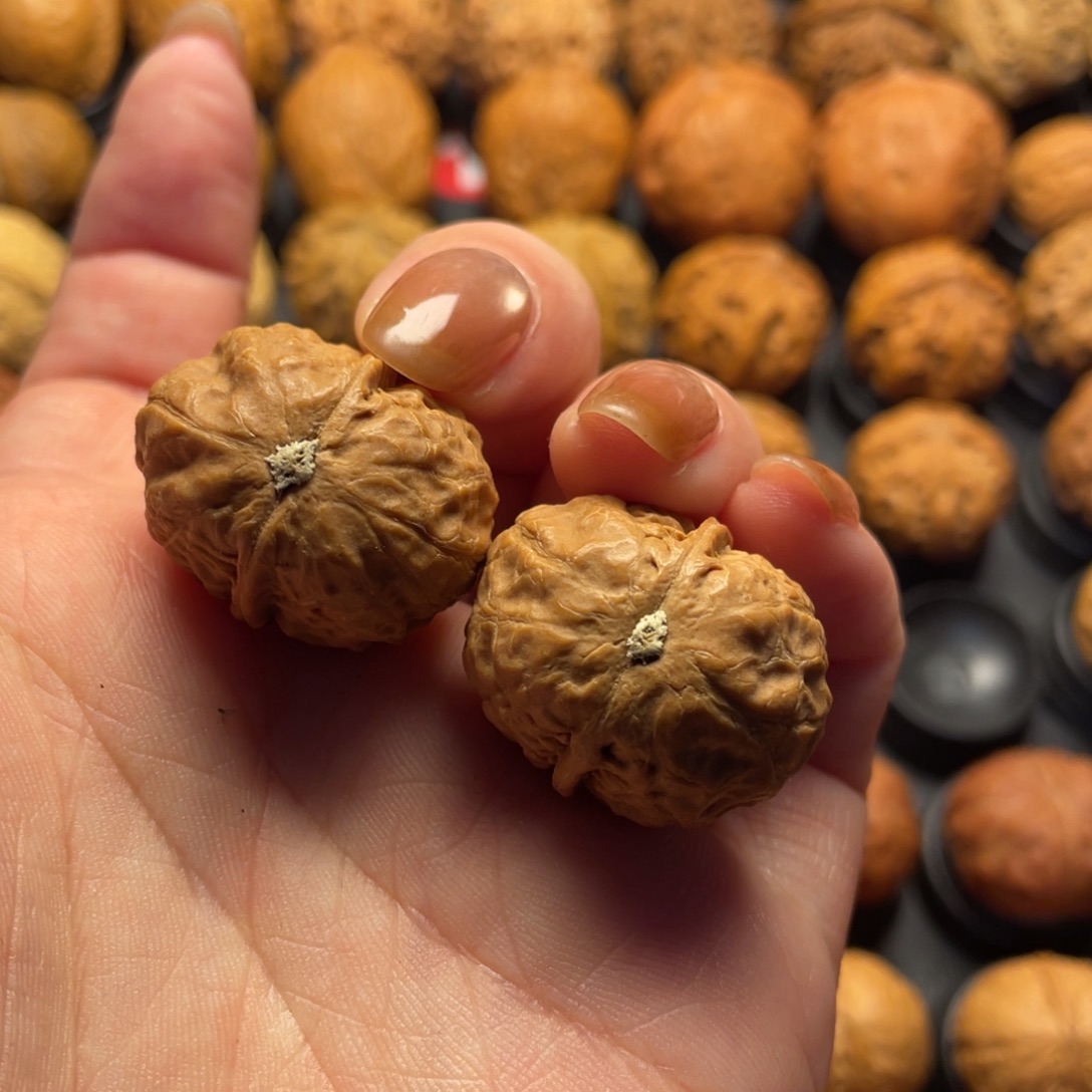 大***兮文玩核桃把件核桃