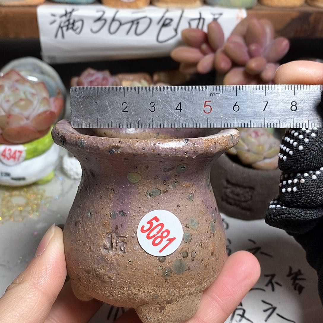 红陶拍5送一个小