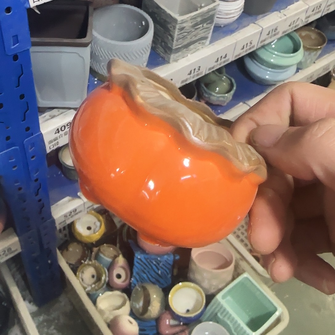 特价盆·天姿添香·福利局·凑9元发·288