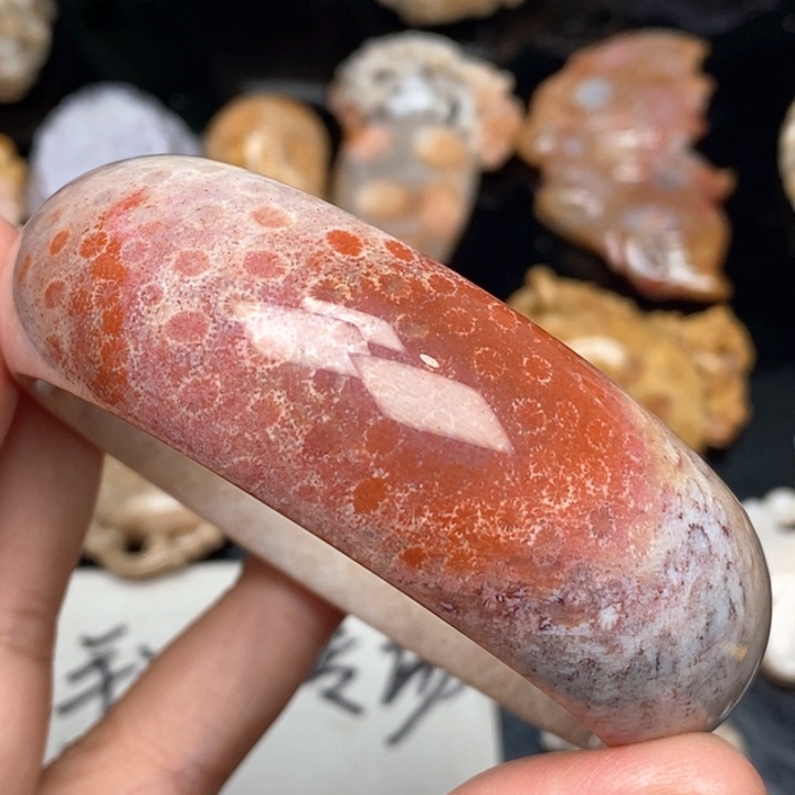 硅化珊瑚（珊瑚玉）手镯未镶嵌59