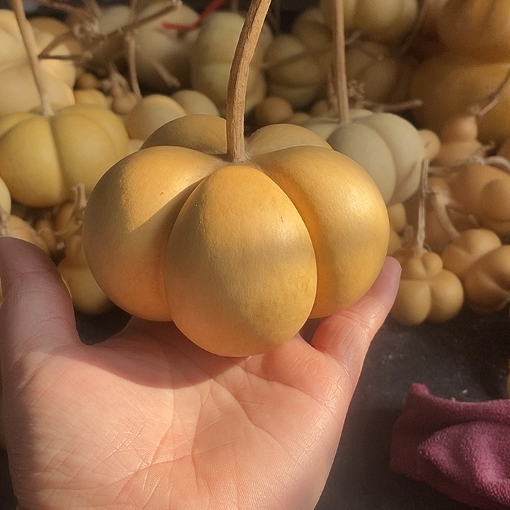 ?****葫芦的颜色很好看