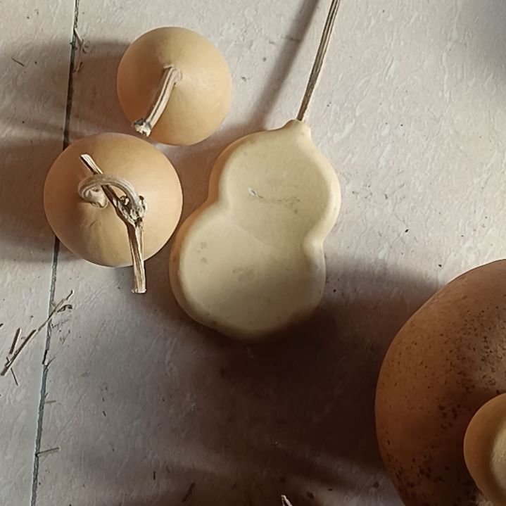 肥****天然葫芦各种葫芦