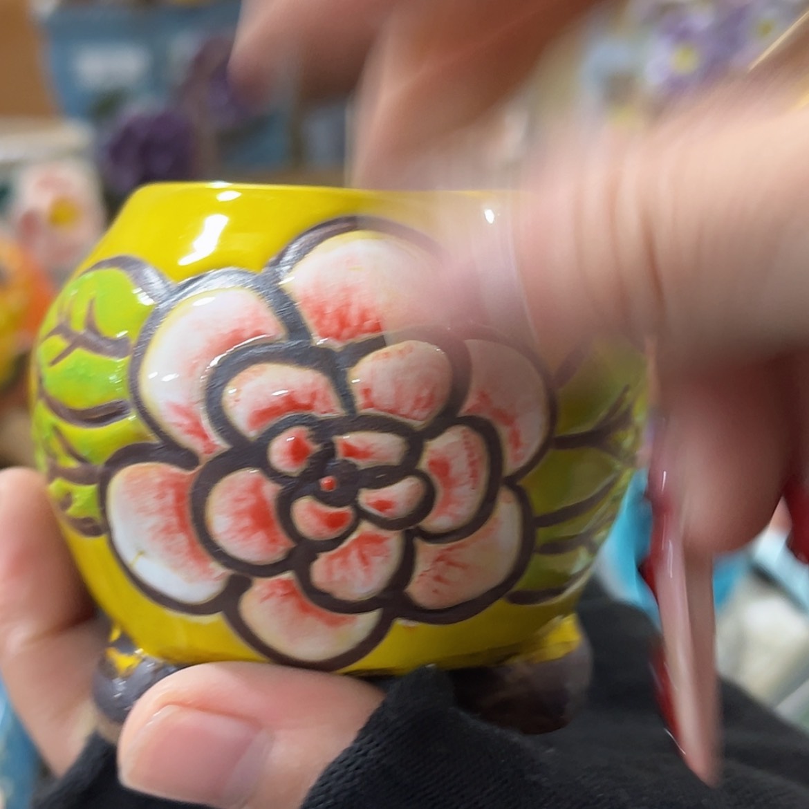 【闪购商品】红陶福利