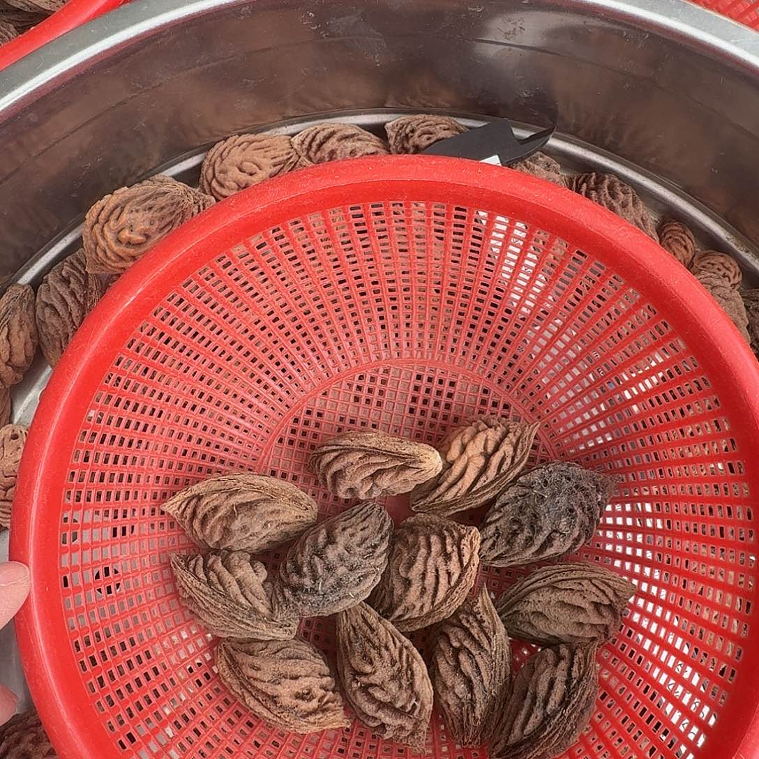 精品野生大桃核精挑10颗