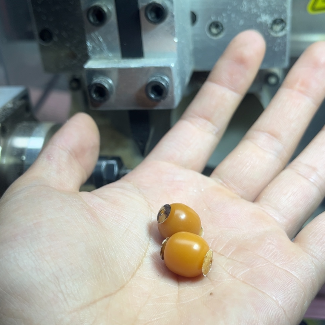 叫***园手串菩提根/象牙果