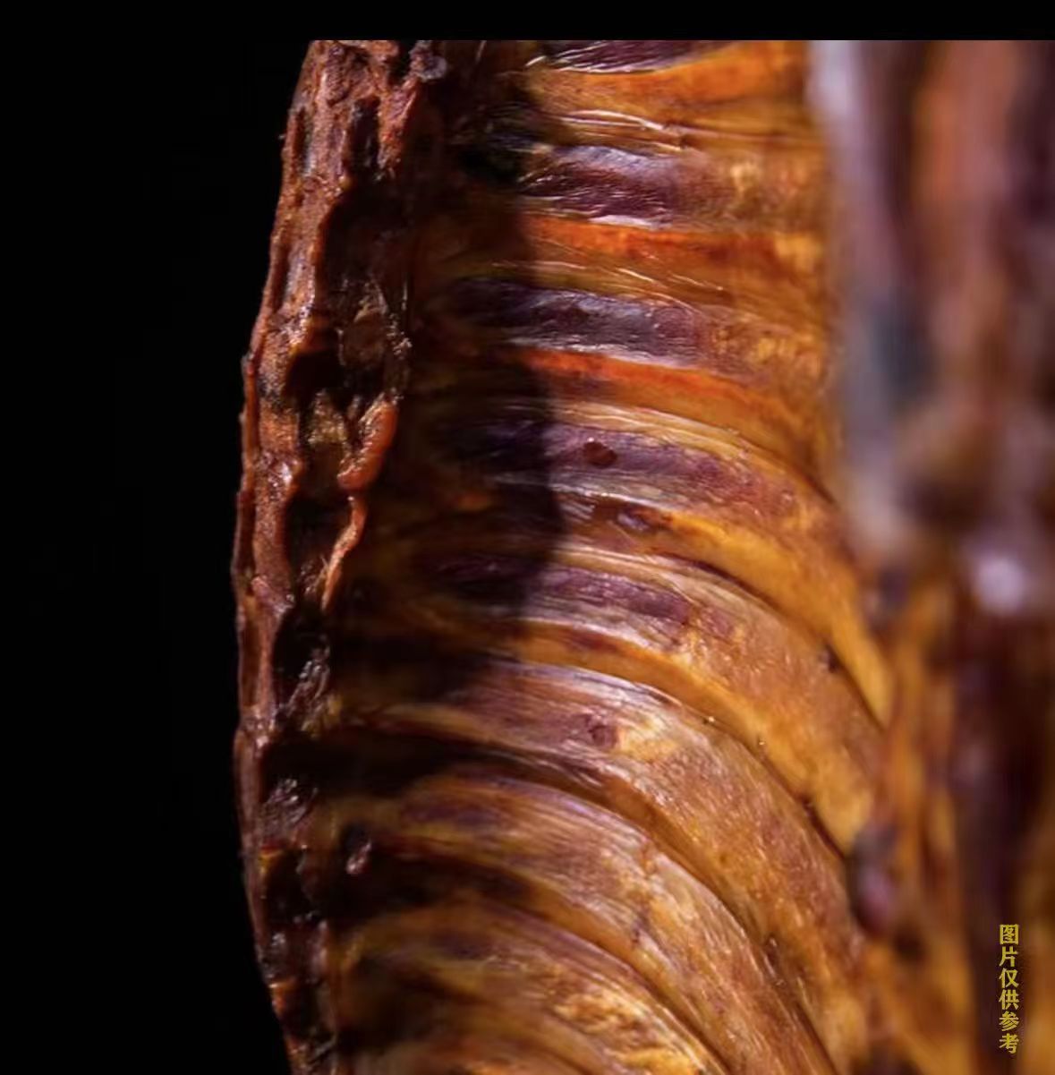 买两斤送一斤到手三斤正宗湖南柴火烟熏腊骨切块发货