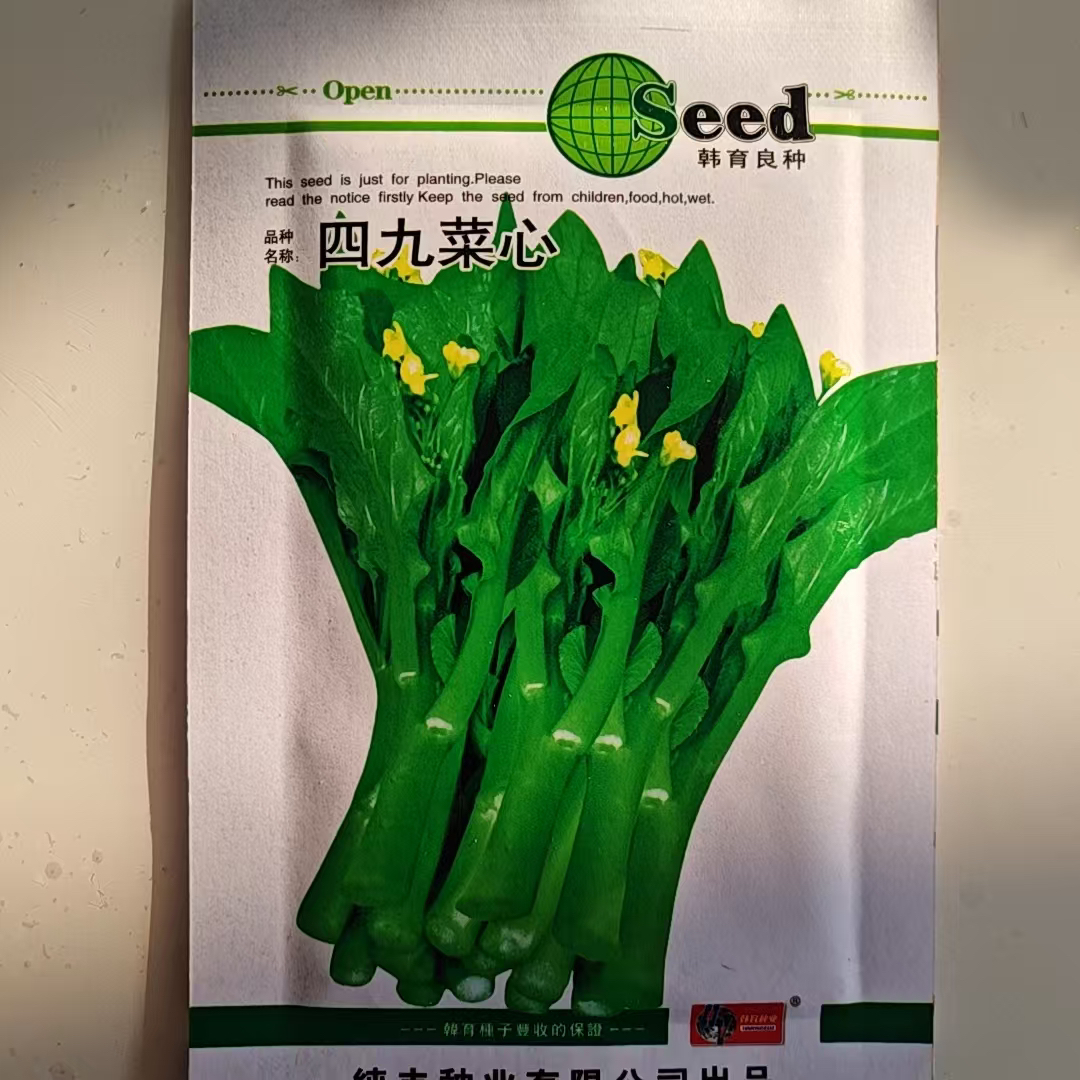 广东四九菜心种子早熟白菜苔四季蔬菜种籽秋季菜籽