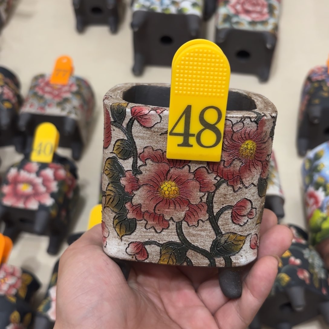 缸哈哈哈哈哈哈哈哈哈哈哈哈哈哈哈