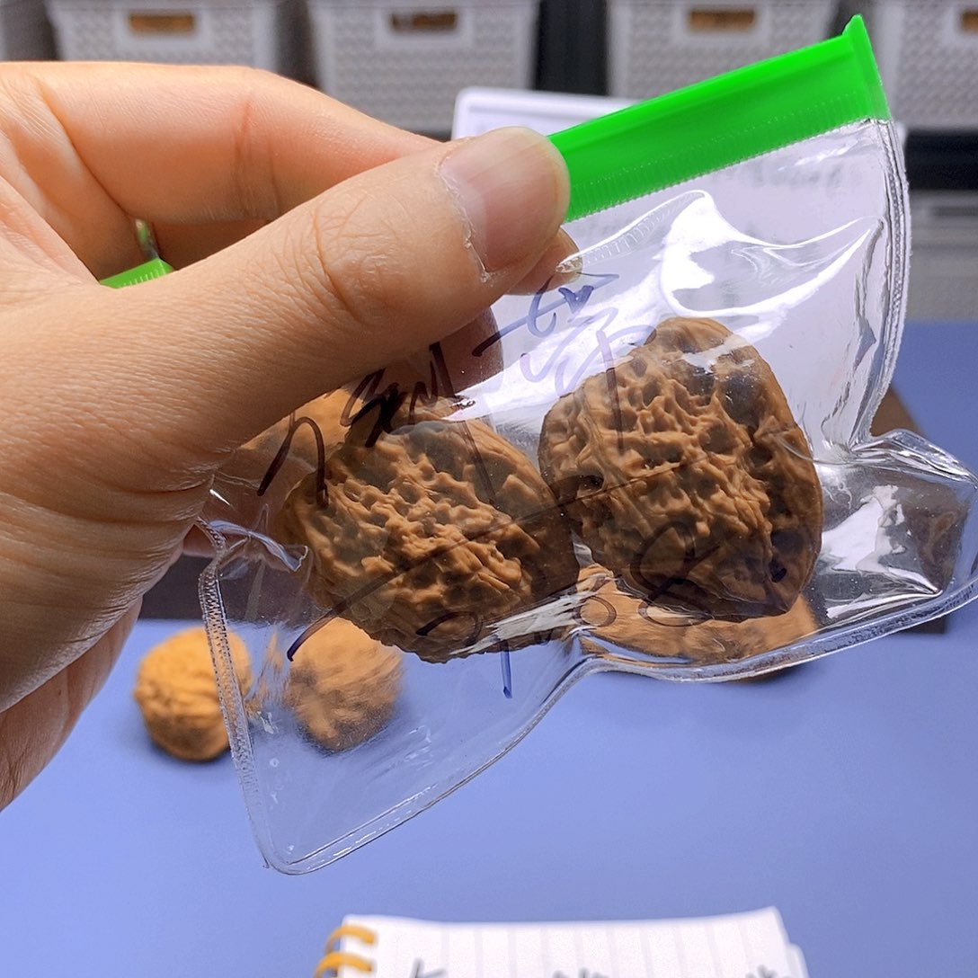 倒***带吊坠文玩核桃南疆石