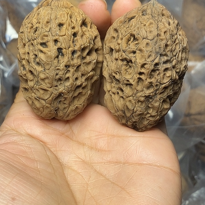 文玩核桃把件云南铁核桃58