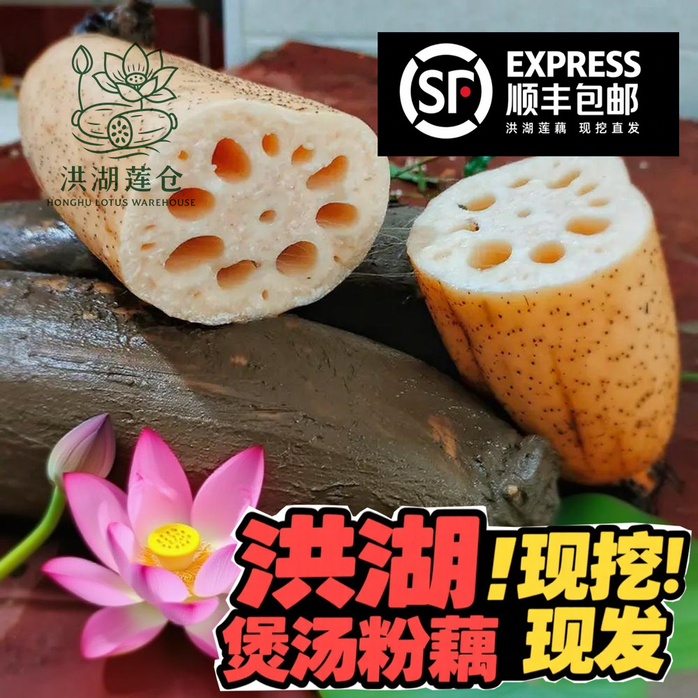 顺丰正宗洪湖新鲜现挖九孔红藕煲汤粉糯莲藕特产软糯香甜煲汤粉藕