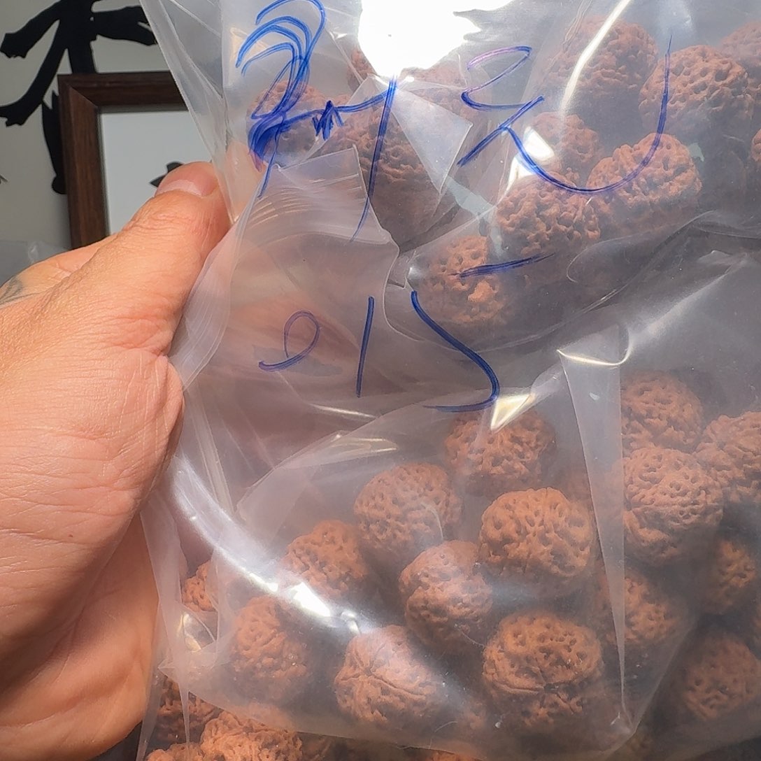 四***）金刚菩提手串0015