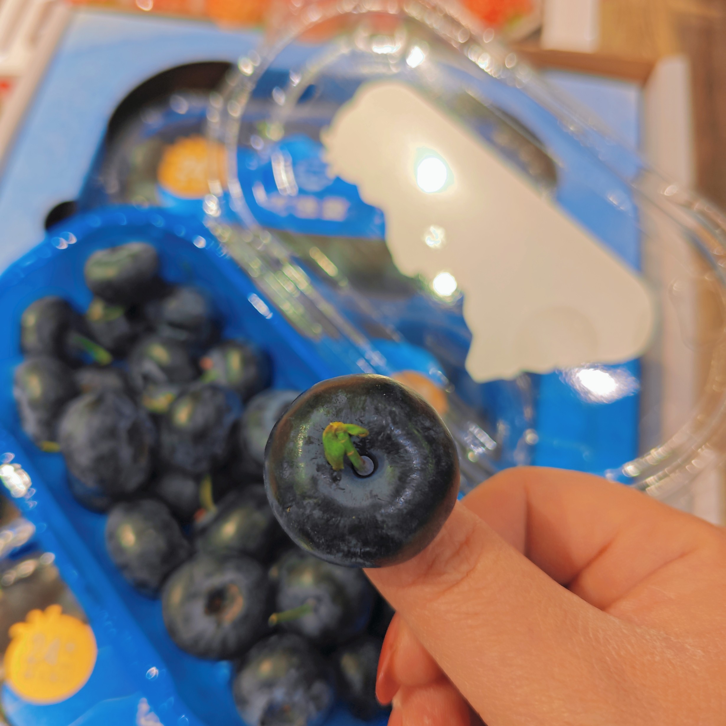 云南迷迭蓝 蓝莓大果一盒200g云南省