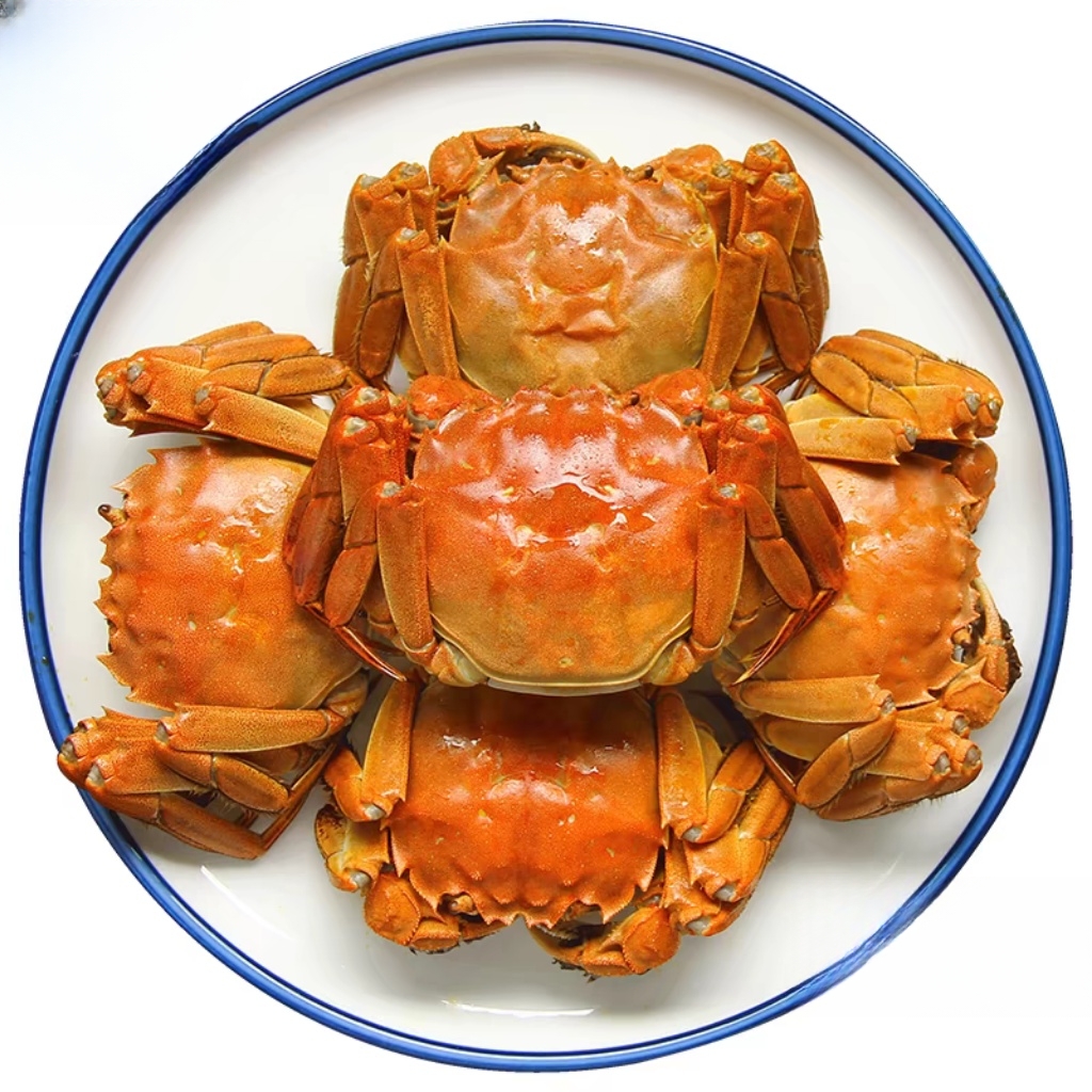 【2.0母/2.5两公】鲜活太湖大闸公母任选2-2.5两/只 6-20只可选