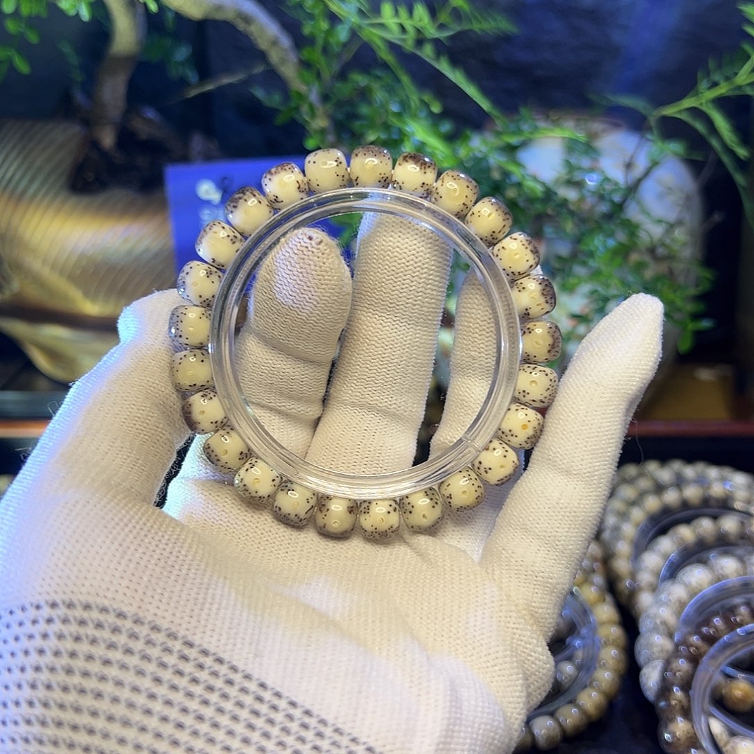 C***e星月菩提手串海南原生态