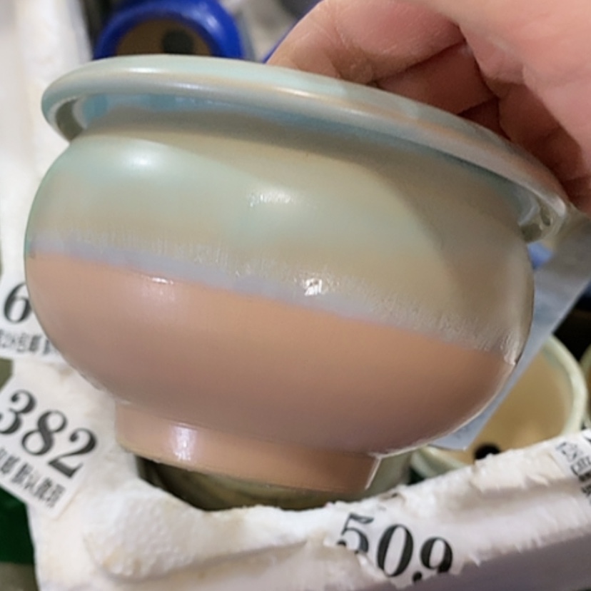 【闪购商品】红陶口10