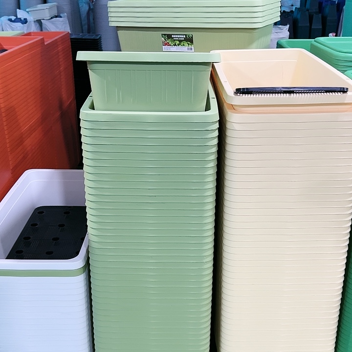 特价长菜盆长68宽33高19混色2个