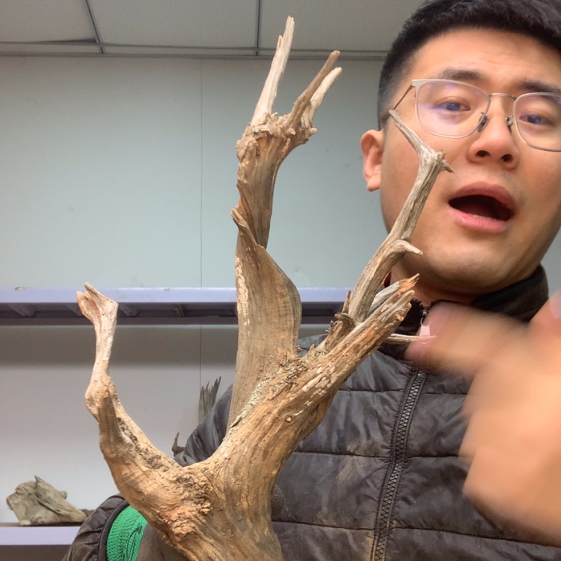 【闪购商品】木木***鱼