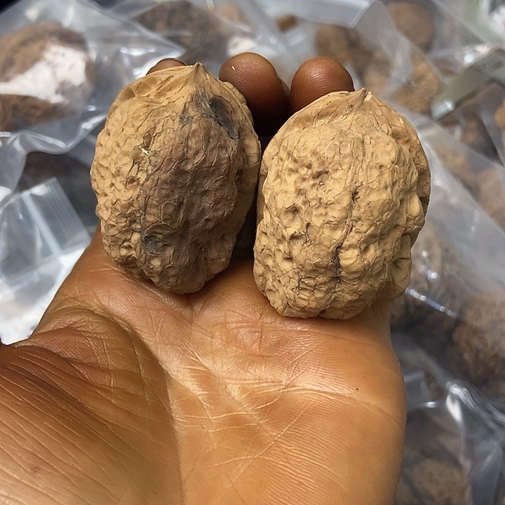 把件文玩核桃云南铁核桃基地1
