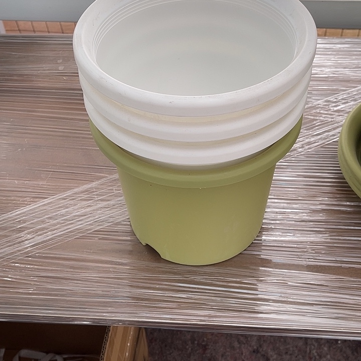 树脂浪**@网格3号3白1绿