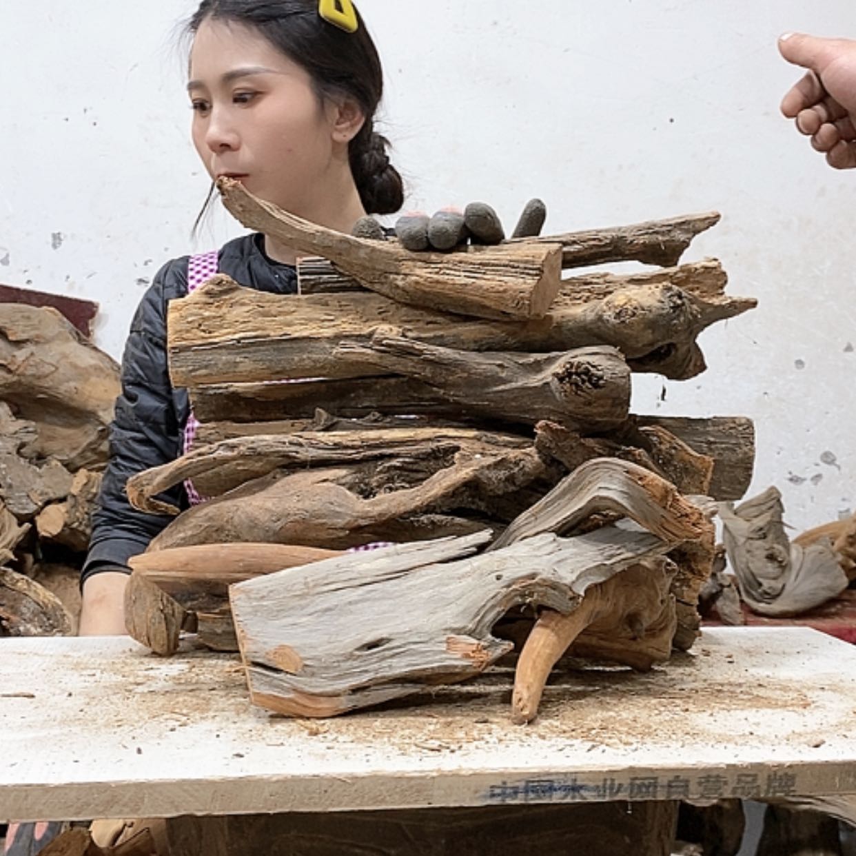 【闪购商品】柏木宋*飞我们都是好孩子