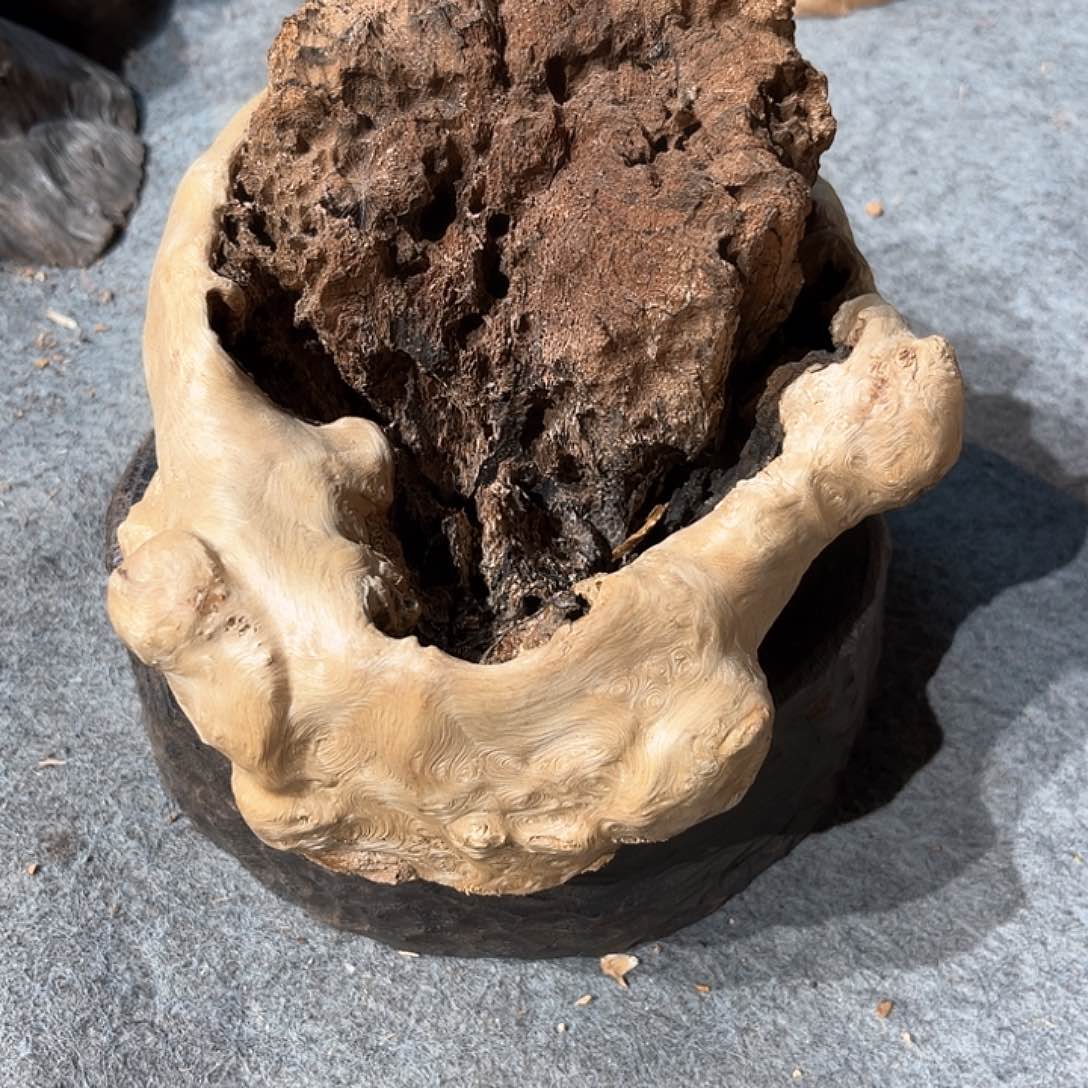 荔枝木十**一荔枝木随型香炉，加工紫光檀㡳坐