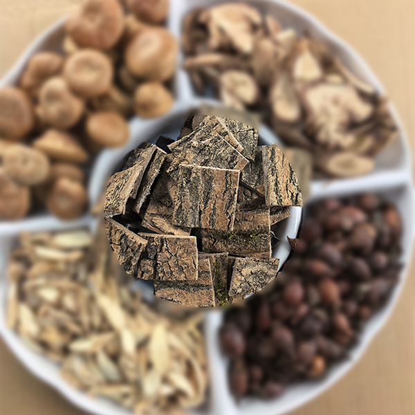 50年以上 老 杜仲 老树去皮川杜仲