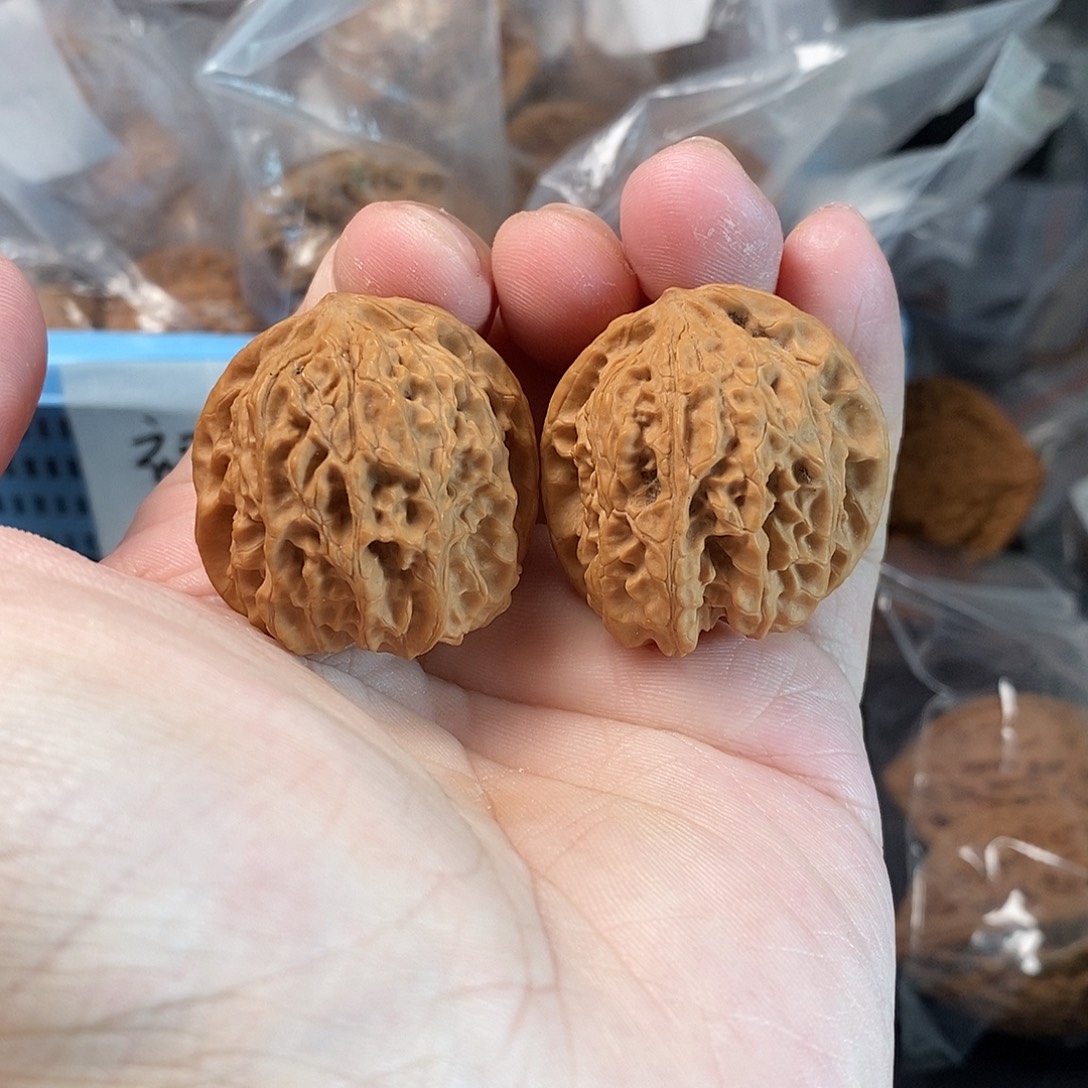 1文玩核桃龙珠33-205