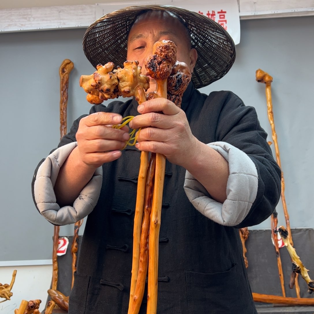 黑果木其他黑果木652