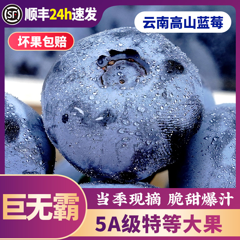 【直播专享丨买1送1】正宗云南蓝莓鲜果花香特大高山现摘新鲜水果