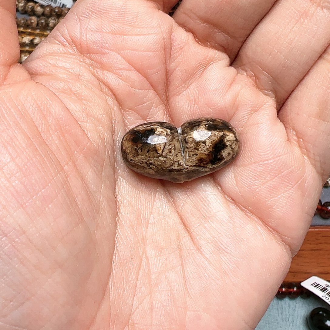 梁***练琥珀未镶嵌裸石抚顺琥珀多样性发其一30309