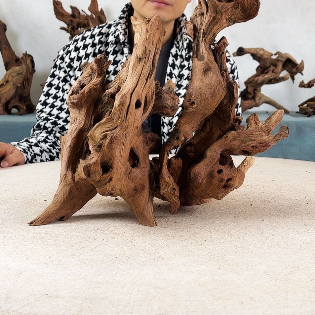 巳*珑沉木造景爬宠造景