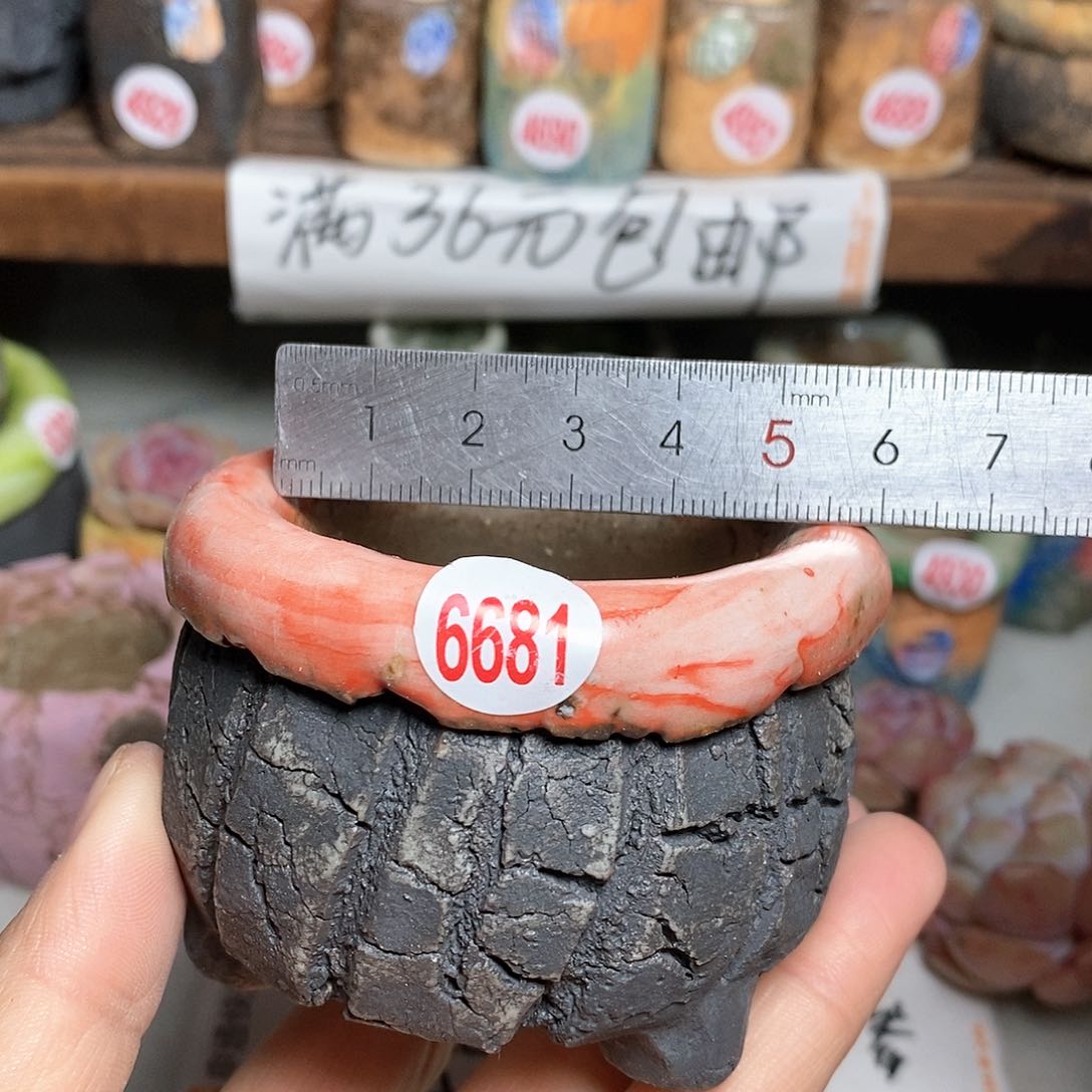 红陶拍5送一个小