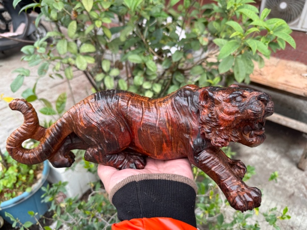 大红酸枝虎虎生威，尺寸31×10×12厘米，重2.3斤