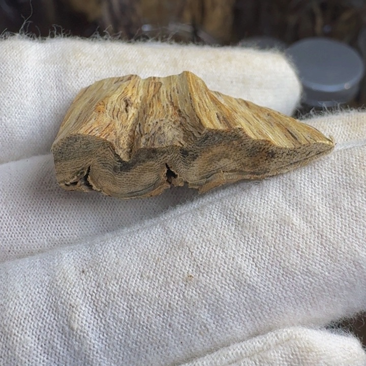 沉香沉香枕百年虎斑棋3克