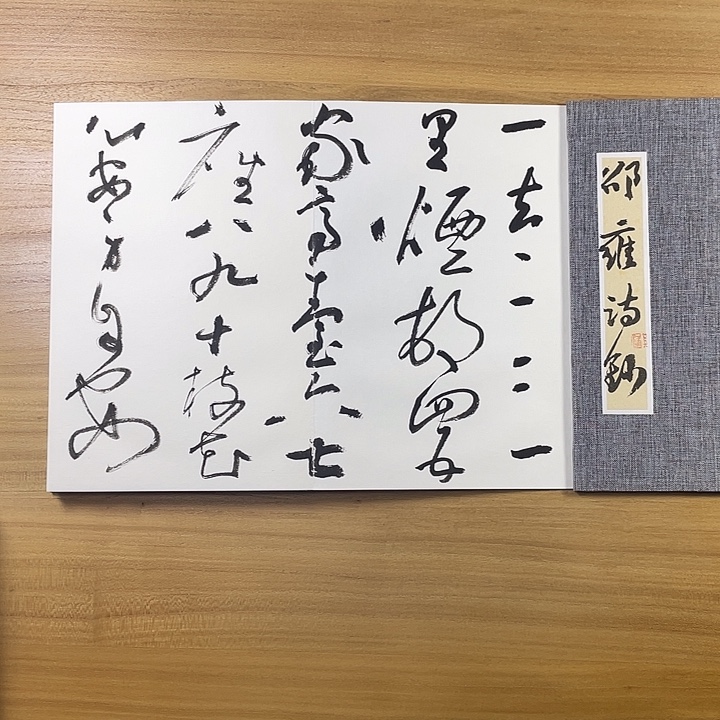 书法中书协会员作品