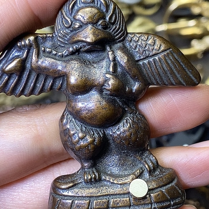 金****老铜大鹏鸟福利福利福利