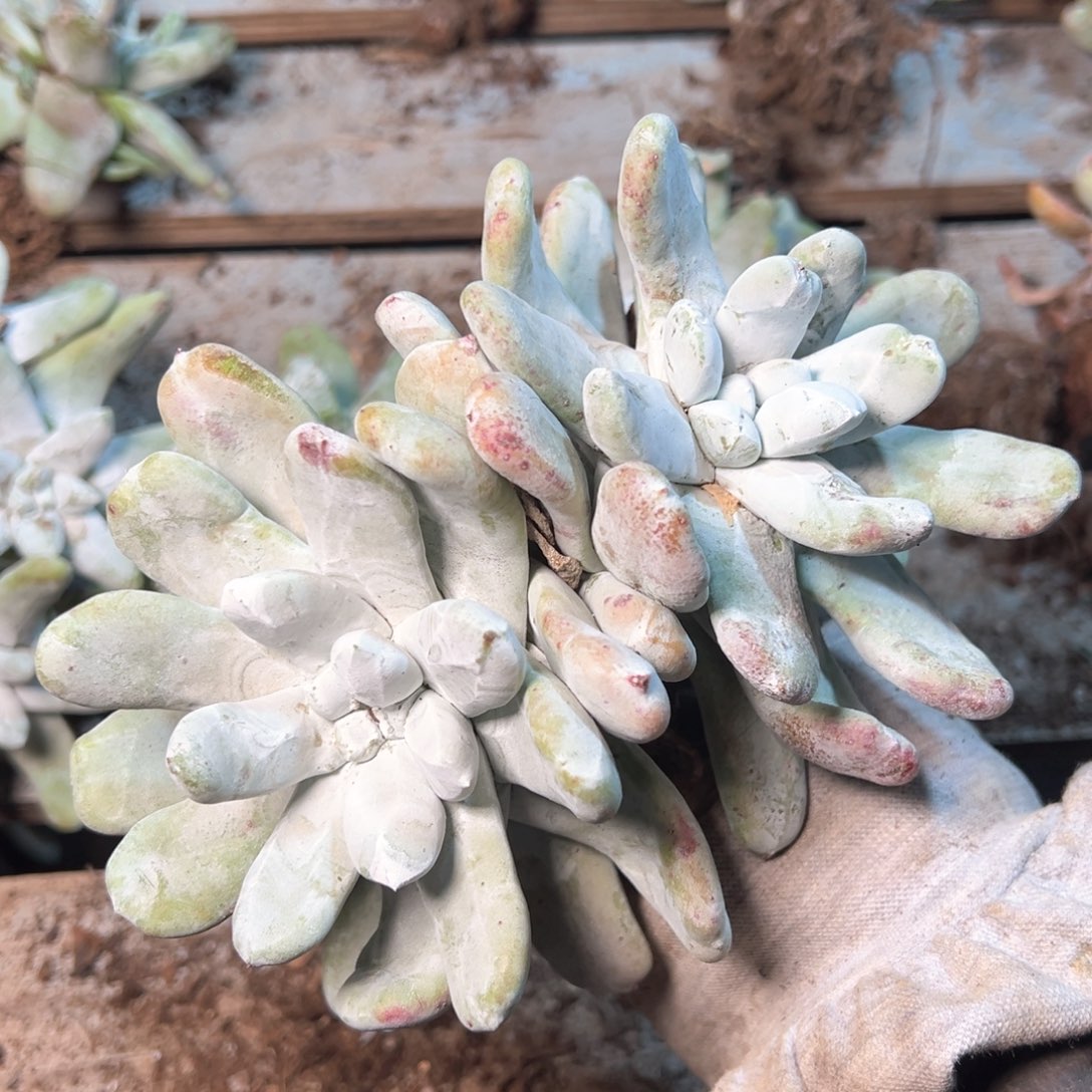 7403哈哈哈哈哈哈哈