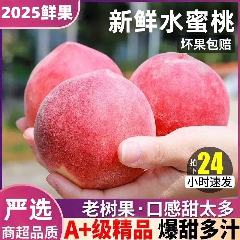湖北新鲜水蜜桃3斤5斤带箱当季新鲜水果孕妇水果脆桃毛桃