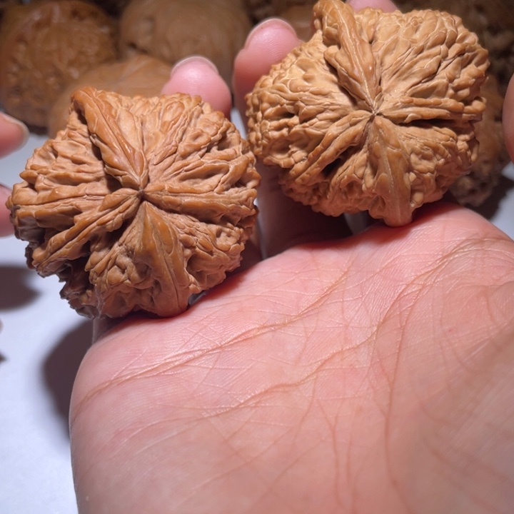 手串/手链核桃白狮子