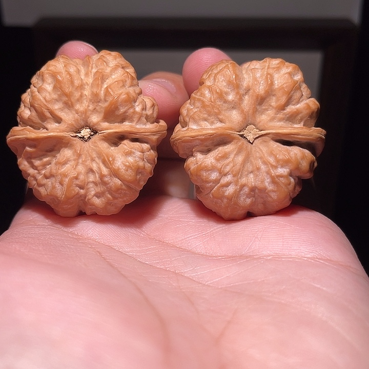 凤***合手串/手链核桃蛤蟆头   