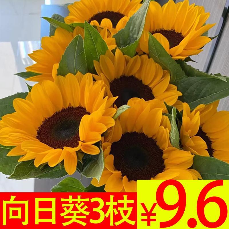 向日葵鲜花花束客厅摆设云南基地直发太阳花花瓶插花水养鲜切花