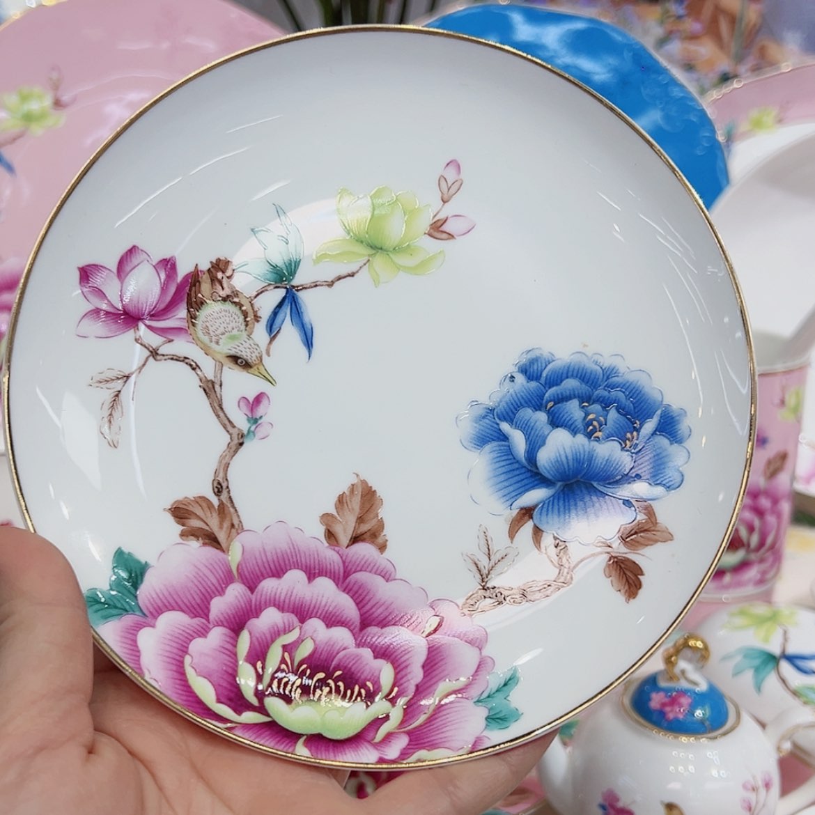 【闪购商品】骨瓷6寸